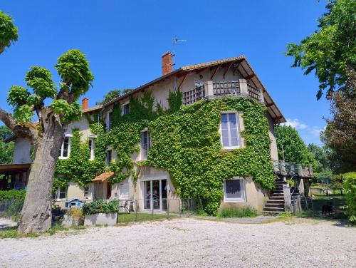 Chambre d'hôtes Park des Collines - Gîte - Accommodation - Génissieux