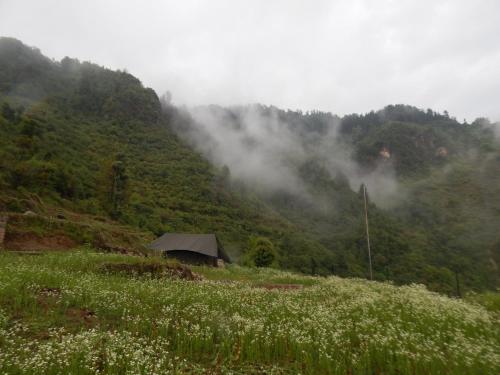 Dhanaulti Camp Homes Retreat