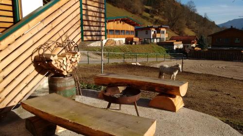 Appartment Iris in Aich, Österreich