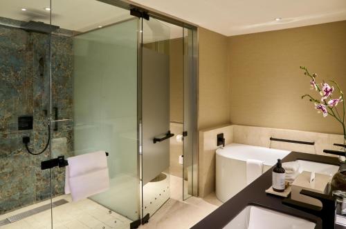 Hilton Buenos Aires, Buenos Aires (Foto 10)