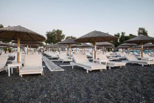 Kymata Hotel - image 6