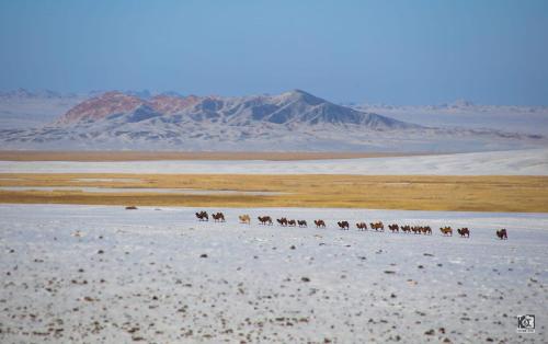 Mongolian Nomadic Herders – khách sạn tại Khovd