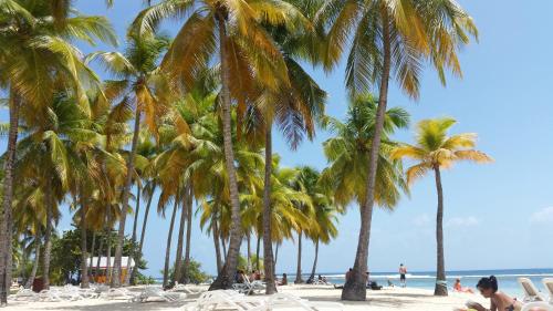 Beach, Locastudio - Pomme Kanel in Sainte Anne