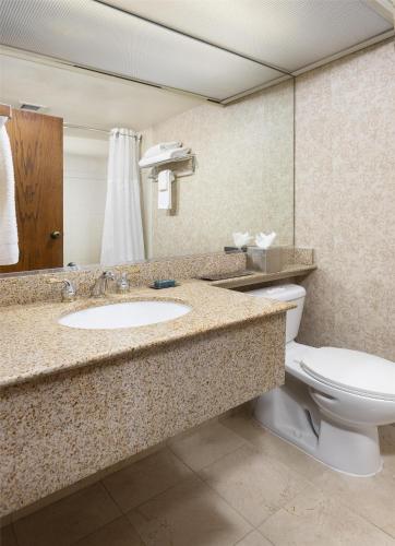 DoubleTree by Hilton San Jose Room Type - Non-Smoking Superior King Metro Tower Room