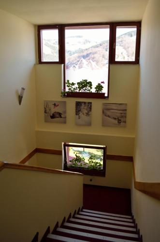 Hotel Rusu - image 14