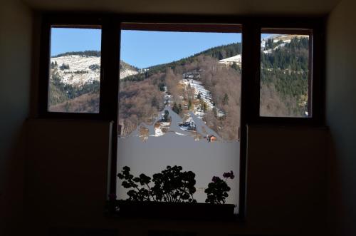 Hotel Rusu - image 7