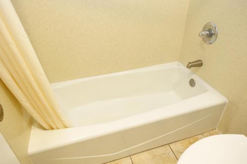 Tropic Lodge - image 8