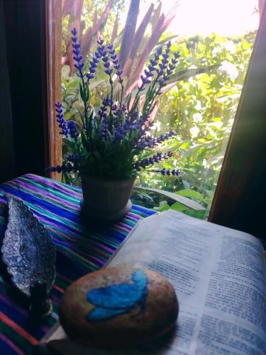 Bartimeo Cabin, a peaceful space in Apaneca in Apaneca