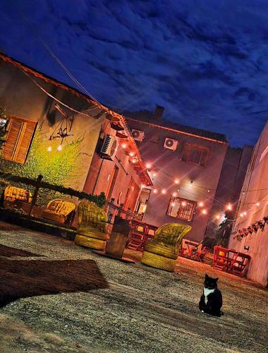 Carcará Hostel Ipanema - Zona Sul POA, Porto Alegre