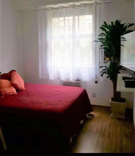 

Apartment C109 Sá Ferreira