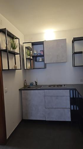Apartment mit 4 Betten, Bad, WC, Kuche und Balkon - Karlsbad