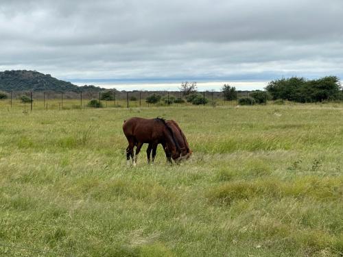 Buschbrunnen in Grootfontein