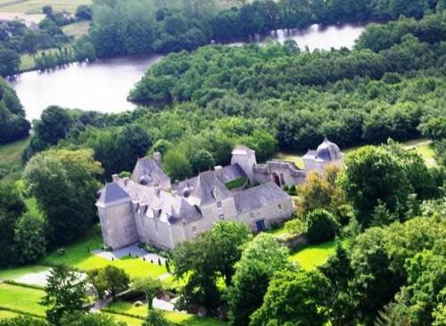 Apartment in a Chateau with Park in Trédaniel