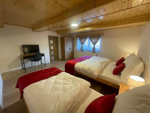 Apartmány u Náměstí (Apartmany u Namesti) in Chribska
