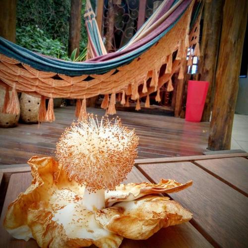 Pousada Baobá e SPA