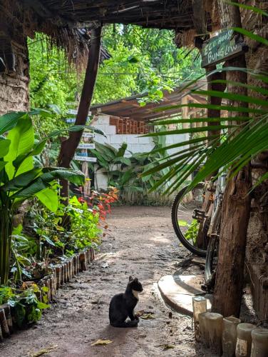 Backyard Eco Bungalows Moshi