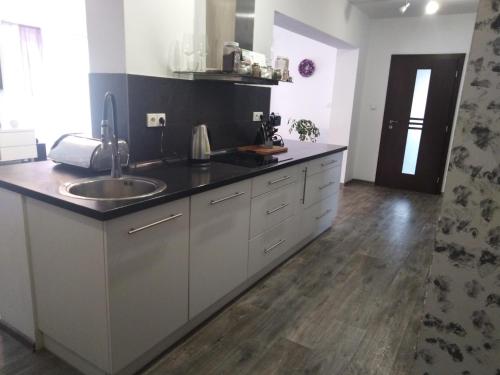Tisovecký apartmán (Tisovecky apartman) in วเซลาคอฟ