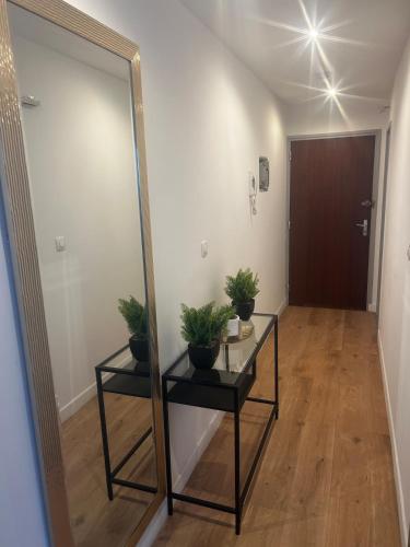 apartment with balcony in Faches-Thumesnil