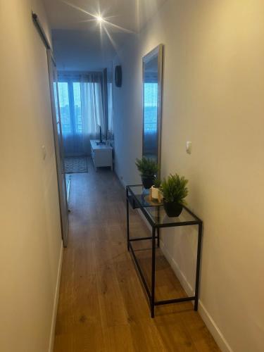 apartment with balcony in Faches-Thumesnil