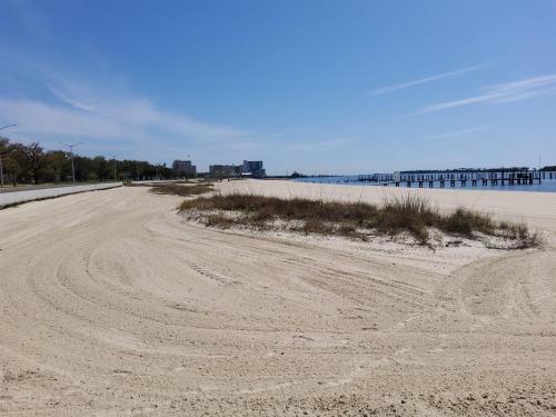 Four Palms Unit A 500ft to Beach Walk 2 Casinos! - image 3