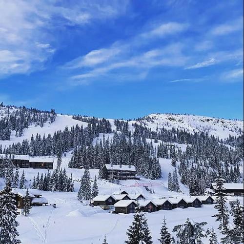 Ski in & out, Family cabin Kvitfjell East - Ringebu in Fåvang