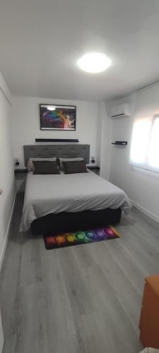 Habitación paloma, Madrid