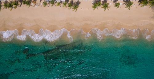 Curtain Bluff - All Inclusive