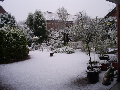 Bed and Breakfast Azzurro - image 4