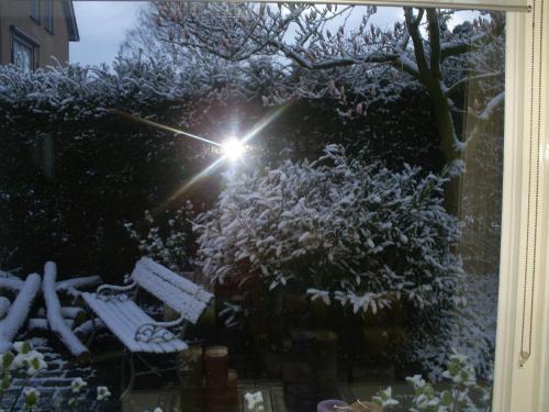 Bed and Breakfast Azzurro - main image