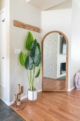 Mid Century Boho Casita - 3BR 2BA - Spacious yard in Otay