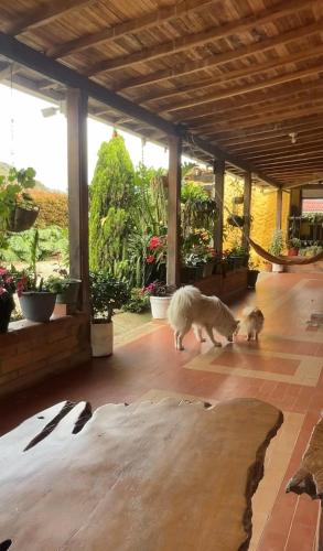 Hotel Campestre El Paraiso in Urrao