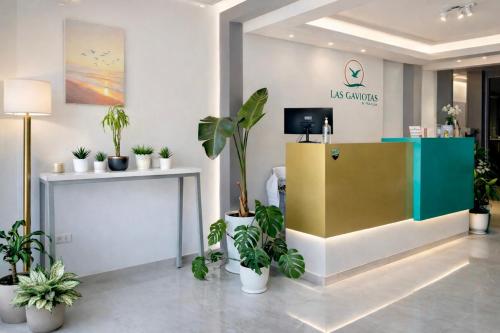 LAS GAVIOTAS DE PARACAS