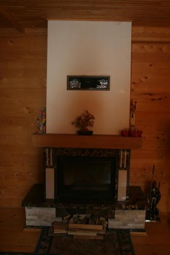 Chalet TysaBorkut - image 9