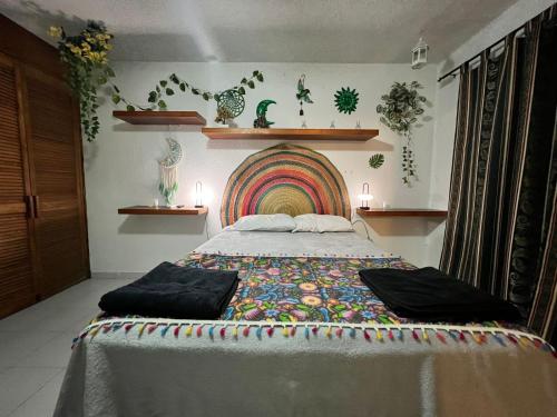 Green house Room Type - Double Room with Terrace