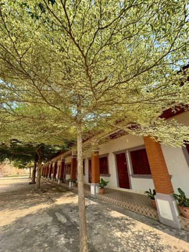 Dok Ban Paa Guest House in Louang Namtha