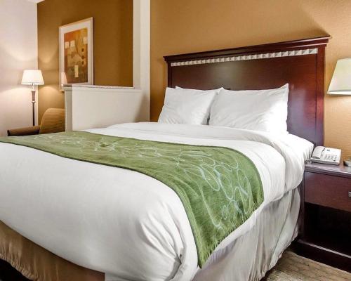 Comfort Suites Louisville East in Douglass Hills, USA