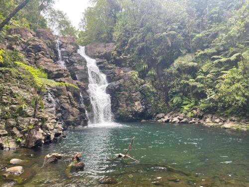 VureVure Homestay in Taveuni