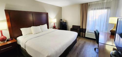 Comfort Inn Pensacola - University Area - image 37