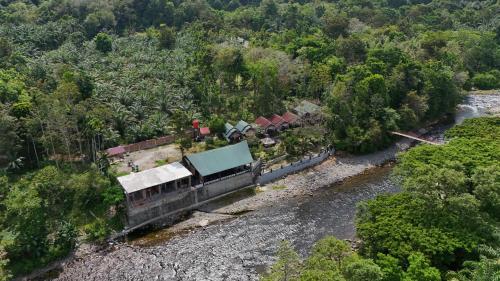 Asim Paris Guesthouse & jungle trekking - Sampe Raya