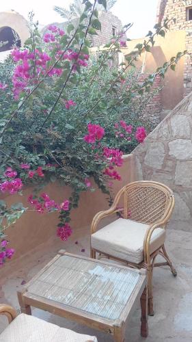 陽台/露台, Eskaleh Eco-Lodge in 阿布辛貝