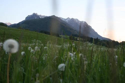 Hotel Riedl - image 14