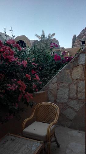 陽台/露台, Eskaleh Eco-Lodge in 阿布辛貝