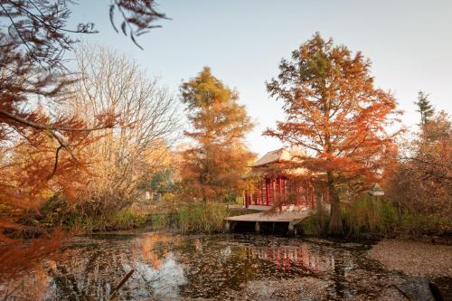 Siedem Drzew - main image