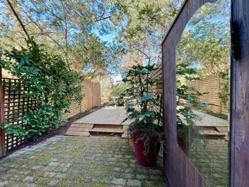 Duplex dans les pins