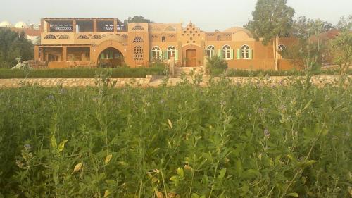 外部景觀, Eskaleh Eco-Lodge in 阿布辛貝