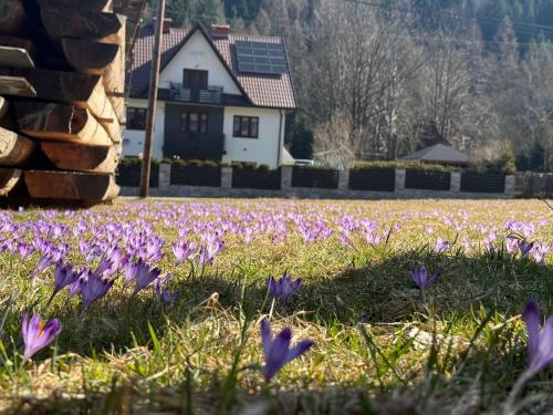 Noclegi u Marii - Koninki in Poreba Wielka