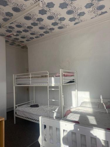 1 king bed, 1 twin bed