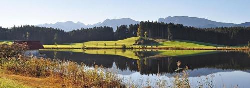 Ferienwohnung Alpenblick , Hof Alpenseeblick, NesselwangAttleseeAllgäu (Ferienwohnung Alpenblick , Hof Alpenseeblick, NesselwangAttleseeAllgau) in 內塞爾旺