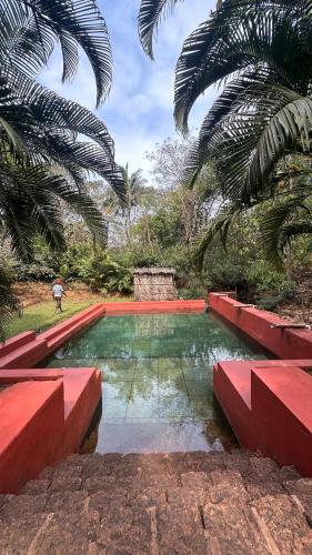Swimming pool, Nature's Nest Goa in Mollem