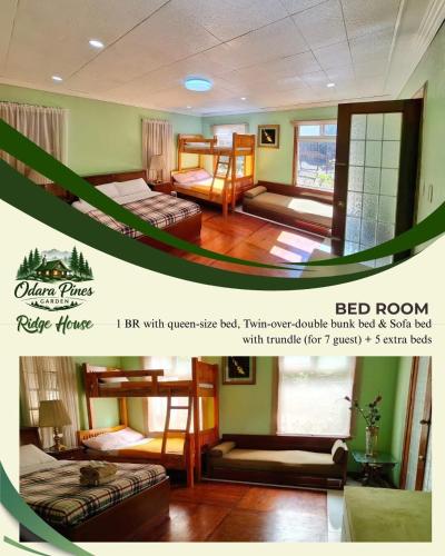 Odara Pines Garden The Ridge House 1BR in Baguio